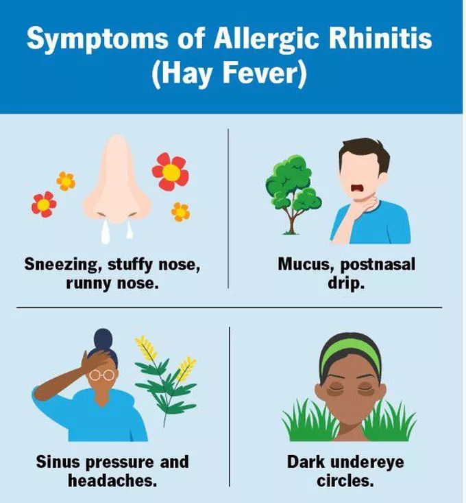 What is Allergic Rhinitis (Hay Fever)? - Turkey Istanbul Medical