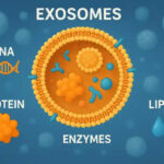 Exosome